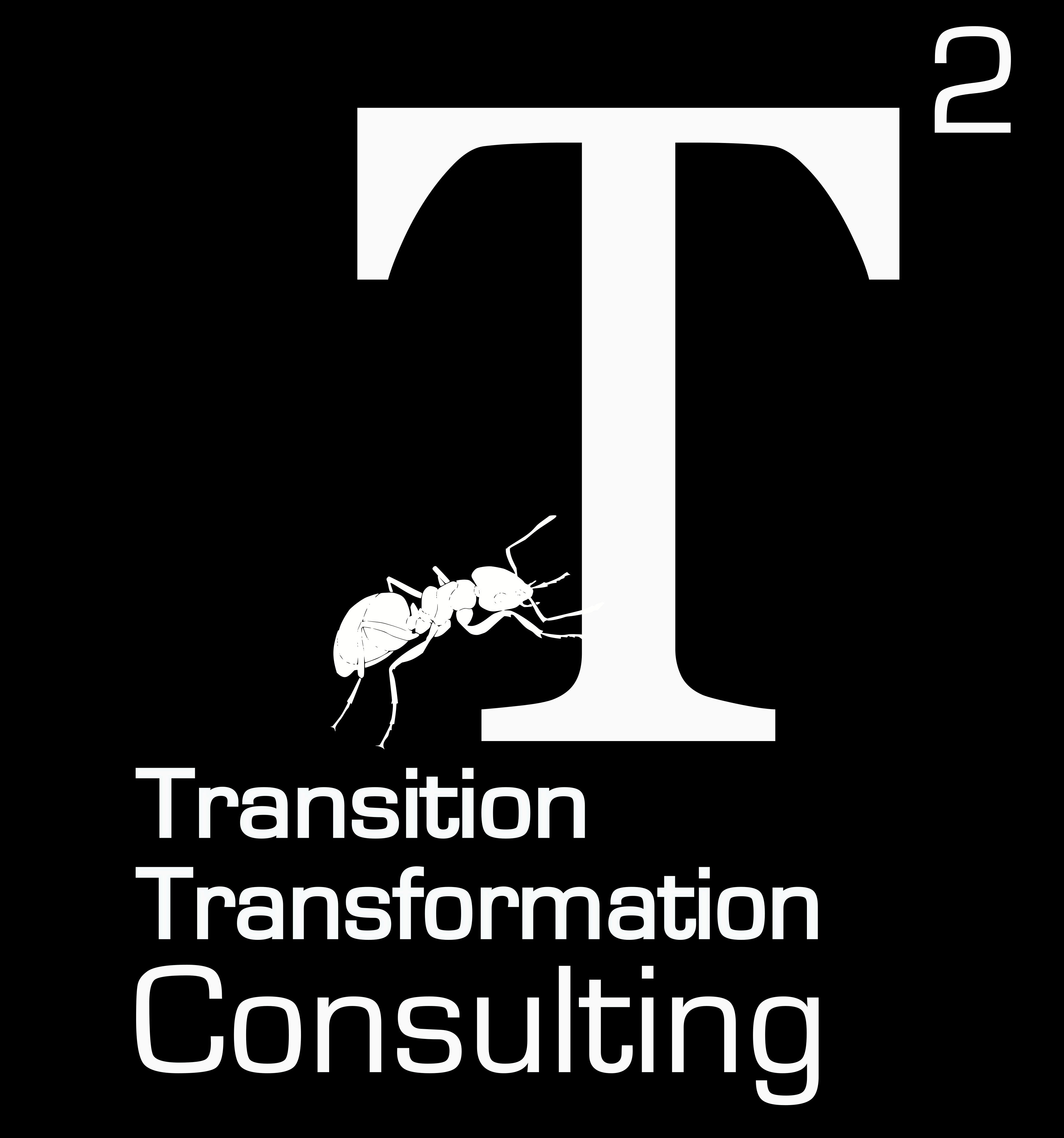 Transition Transformation Consulting